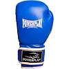Перчатки для бокса POWERPLAY 3019 Challenger Синие