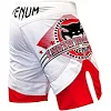 Шорты VENUM Lyoto Machida Japan Edition