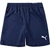 Спортивні шорти чоловічі Puma teamRISE Short темно-синій