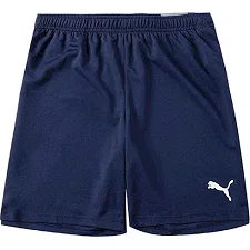 Спортивні шорти чоловічі Puma teamRISE Short темно-синій