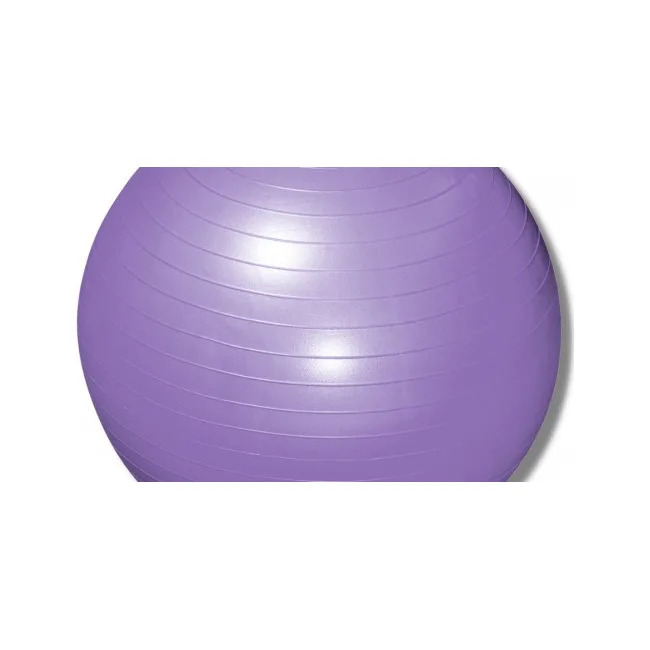 М'яч для фітнесу (фітбол) POWER SYSTEM PS-4013 Ø75 cm PRO Gymball Purple