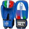 Боксерские перчатки GREEN HILL BO-3915