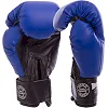 Боксерські рукавички Boxer Еліт (шкірвініл)