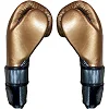 Перчатки для бокса CLETO REYES Her 500 Leather Bronze