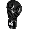 Рукавиці для боксу PHANTOM Germany Eagle Black (капа в подарунок)