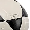 Футбольный мяч WINSTAR FB-00035 (Белый-черный)