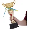 Спортивний кубок
 нагородний SP-SPORT
 Flame Y153B
 31см