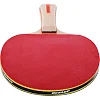 Набор для настольного тенниса DUNLOP RAGE DL10285750 1 ракетка 2 мяча