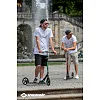 Городской самокат SCHILDKRÖT Scooter Street Master 200mm Green Max: 100 кг