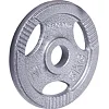 Диск чавунний inSPORTline Hamerton 5 кг