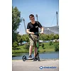 Городской самокат SCHILDKRÖT Scooter Street Master 200mm Green Max: 100 кг