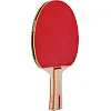 Набор для настольного тенниса DUNLOP RAGE DL10285750 1 ракетка 2 мяча
