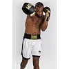 Боксерские шорты VENUM Classic White Black