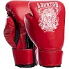 Детский боксерский набор (перчатки+мешок) Lev LV-4686 (до 4 лет)