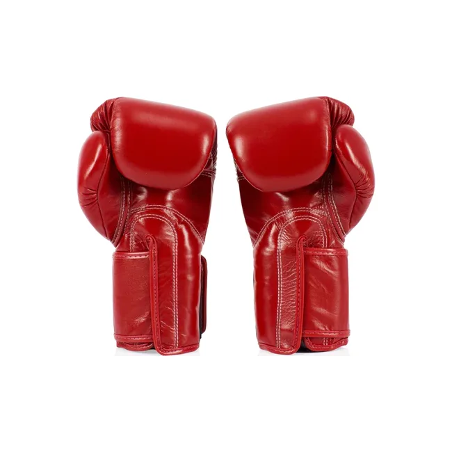 Рукавиці для боксу FAIRTEX BGV5 Red