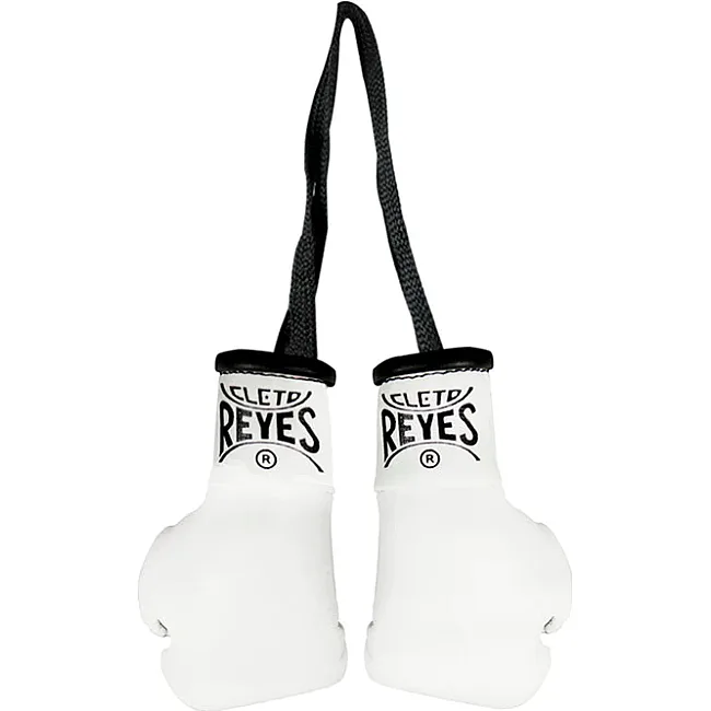 Сувенирные перчатки для бокса CLETO REYES Mini Synthetic