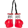 Сувенирные перчатки для бокса CLETO REYES Mini Synthetic
