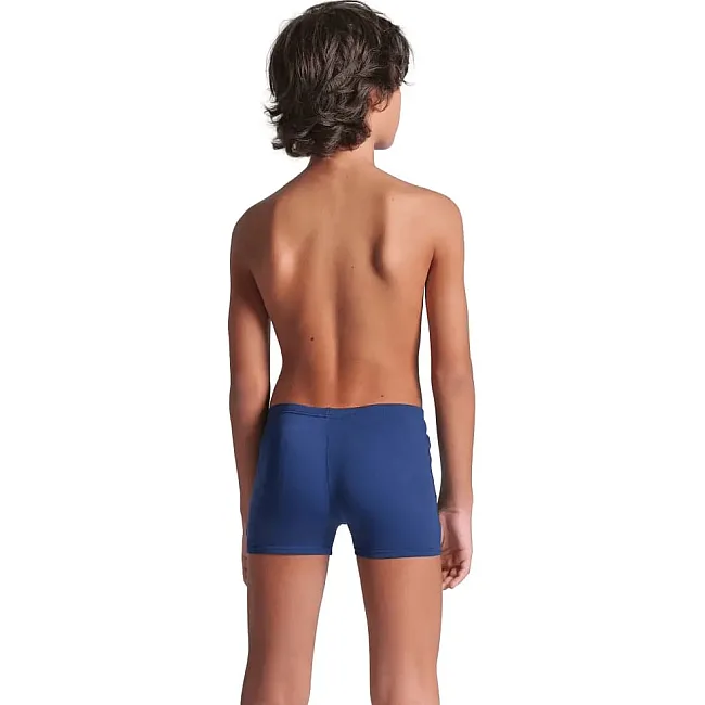 Плавки-шорты для мальчиков Arena POSEIDONIA SWIM SHORT синий, голубой