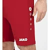 Спортивные шорты premium JAKO 4465-01