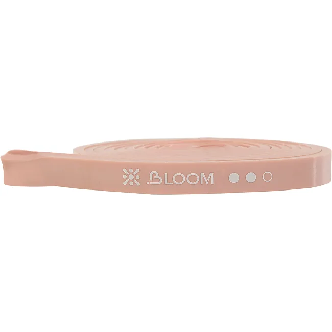 Распродажа! Резина петля для подтягиваний BLOOM SUPER BAND LB7070-2