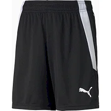 Шорты детские Puma teamLIGA Shorts Jr черный, белый