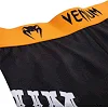 Компрессионные штаны VENUM Santa Muerte 2.0