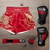 Шорти для тайського боксу Hayabusa Falcon Red