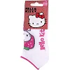 Носки HELLO KITTY HK THEME FRAISE арт.83890528-1
