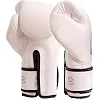 Боксерські рукавиці FAIRTEX BGV14