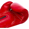 Боксерські рукавиці FAIRTEX BGV14