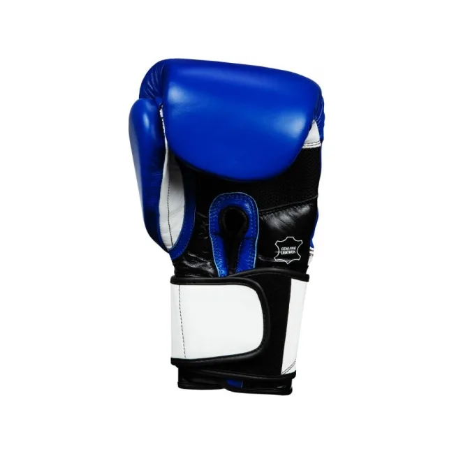 Перчатки для бокса TITLE Premium Leather Performance Blue