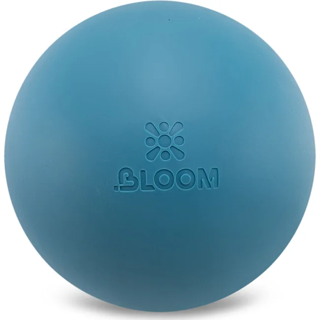Мяч для пилатеса BLOOM PREMIUM LB7003-20 20см (Розовый)