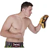 Лапа боксерская изогнутая тренировочная кожа TWINS FPML10-51 25x19x9см 1штука (Черный-золотой)