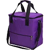 Сумка холодильник (термосумка) SP-SPORT GA-0292-20 20л (Фиолетовый)