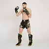 Шорти для тайського боксу LEONE Performance Fluo Black