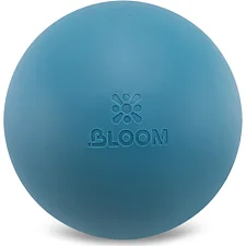 Мяч для пилатеса BLOOM PREMIUM LB7003-20 20см (Синий)