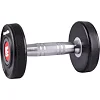 Гантель стальная inSPORTline Profi, 2 кг