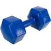 Гантель для фитнеса с PE покрытием ZELART TA-4758-5 1шт 5кг (Синий)