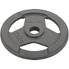 Блины диски стальные окрашенные с тройным хватом ZELART TA-7791-10 51мм 10кг