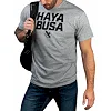 Футболка Hayabusa Casual Logo Grey