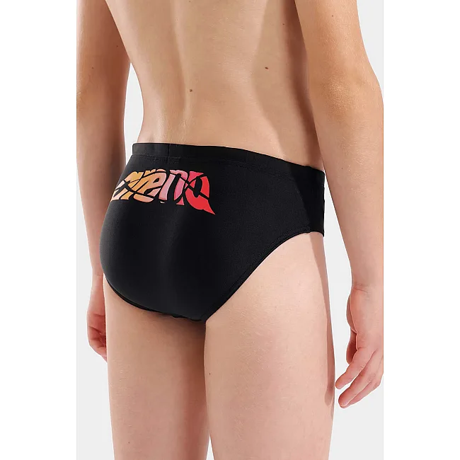 Плавки для мальчиков Arena LETTERING SWIM BRIEFS черный (для детей)