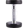 Гантель стальная inSPORTline Profi, 2 кг