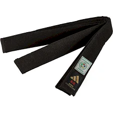 Пояс для дзюдо Adidas ELITE IJF with KANJI OPTION (чорний-золотий) adiB242J