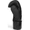 Боксерські рукавиці Everlast ELITE 2 BOXING GLOVES чорний, золотий 16 унцій