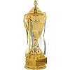Спортивный кубок
 наградной SP-SPORT
 Carved QY078B
 44см