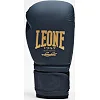 Рукавички для боксу LEONE Mono Blue