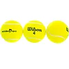Тенісний м'яч WILSON AUSTRALIAN OPEN T1047 3шт