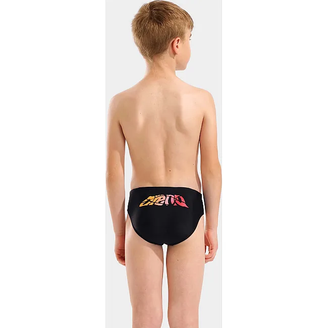 Плавки для мальчиков Arena LETTERING SWIM BRIEFS черный (для детей)