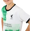 Распродажа! Футбольная форма детская с символикой клуба LIVERPOOL гостевая 2024 SP-PLANETA CO-6335 6-14 лет