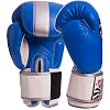 Перчатки для бокса


 кожаные YOKKAO YK016 10-16унций (Синий-серый)